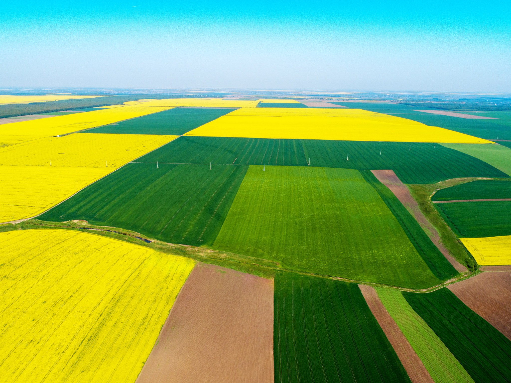 filmari drone agricultura