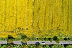 Fotografii și filmări aeriene cu drona