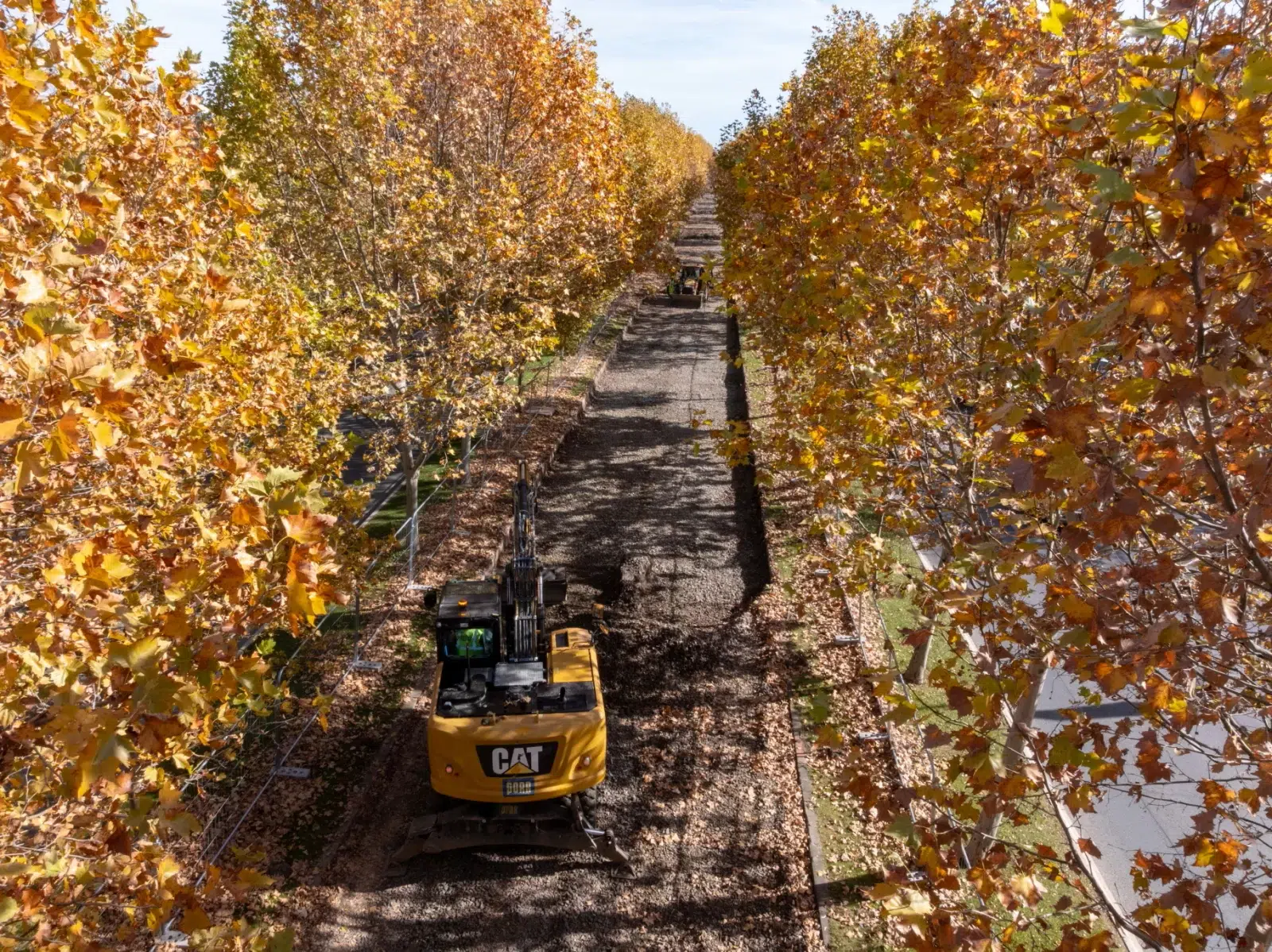 industrial photographer Adrian Sulyok