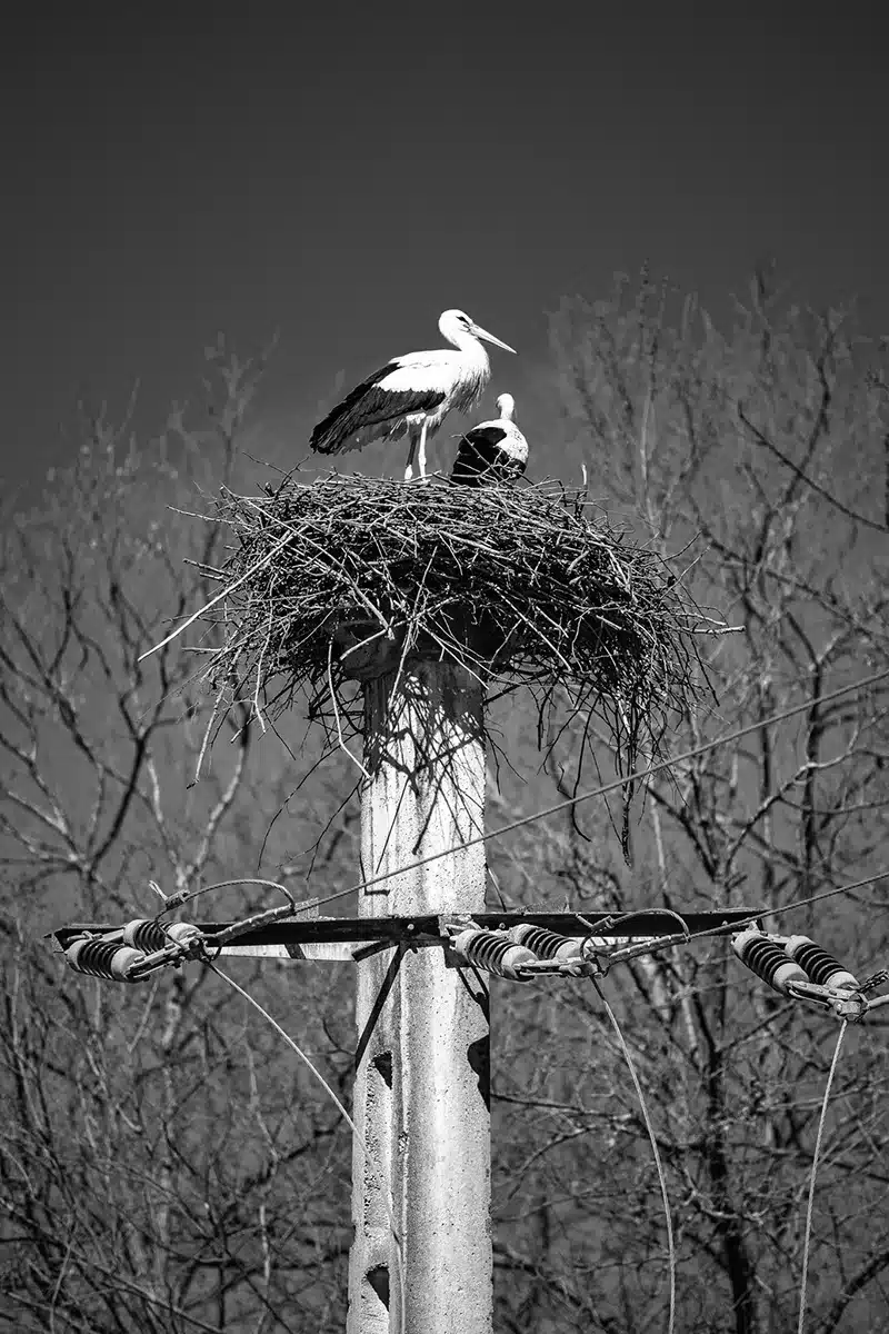 foto urmarire santier infrastructuri _ natura