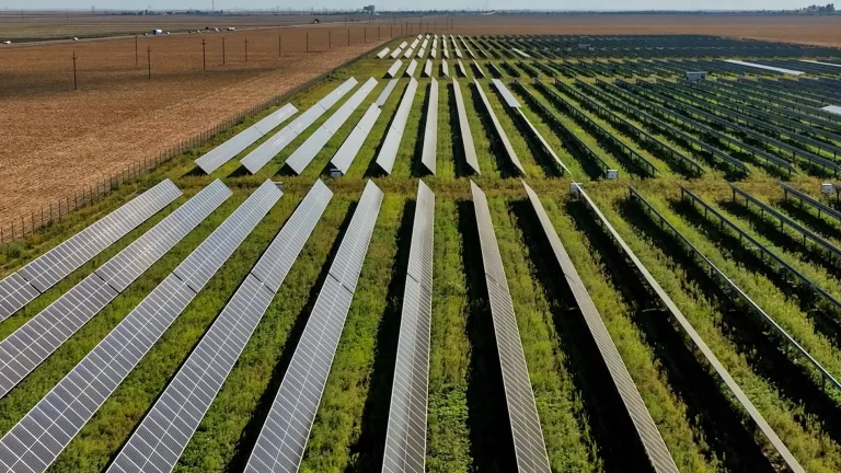 foto drona filmare aeriana