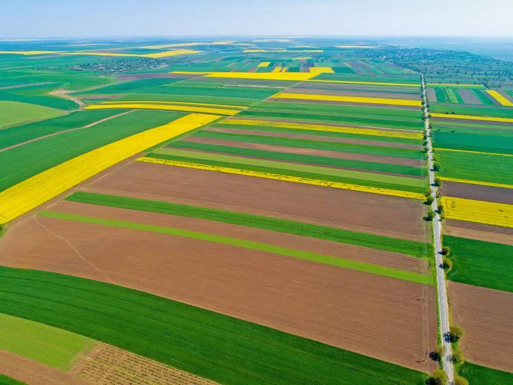 drone filming for agriculture