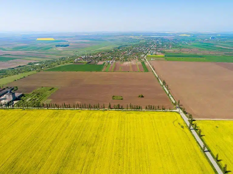 yellow field photographerd from drone